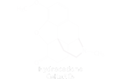 hydrocodone hydrocodone